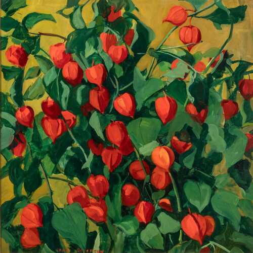 Jane Peterson