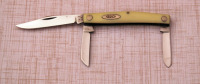 Case XX 33044 Birdseye