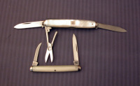 Case 83064 8 dot pearl