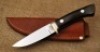 Early Centofante Hunter