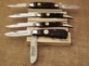 Four bone handled Camillus Cartridge Series