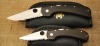 Spyderco Wayne Goddard pair