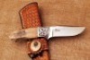 D'Holder Mastodon Engraved Hunter - 2