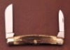 Queen Winterbottom bone Half Congress - 2