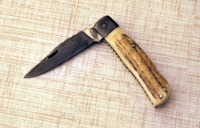 Gene Gray Stag Damascus Folder