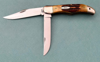 Case 10 Dot Stag Folding Hunter
