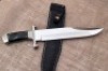 Bob Sky Bowie - 2