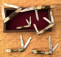 Case 1979 Bradford Centennial Mint Scrolled bolster Stag Set
