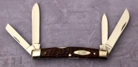 Case 8 Dot Bone Congress