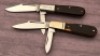 Pair of Western Barlow's