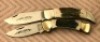 Pair of Parker Stag Big Folders: Clasp & Lockback