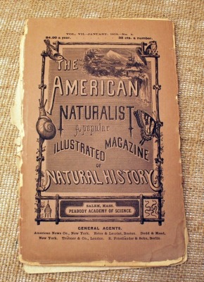 1873 American Naturalist Illustrated Magazine