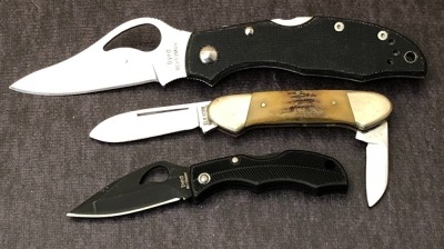 Two Byrd and one Elk Horn