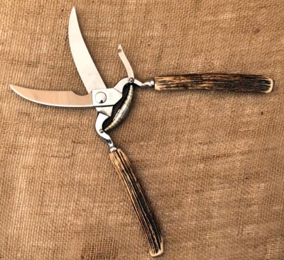 Case Tested Stag Poultry Shears