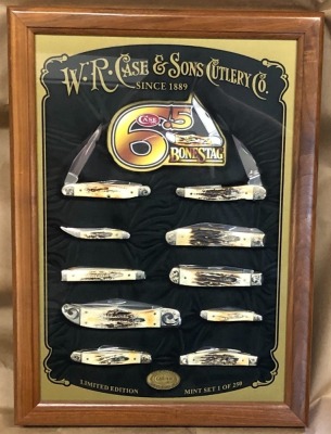 Case 6.5 Bone Stag Mint Set